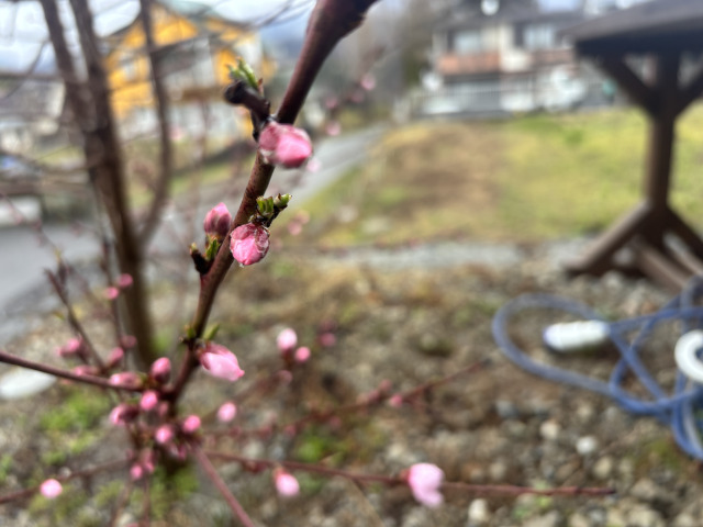 モノづくり塾「ZIKUU」だより – 令和8年3月